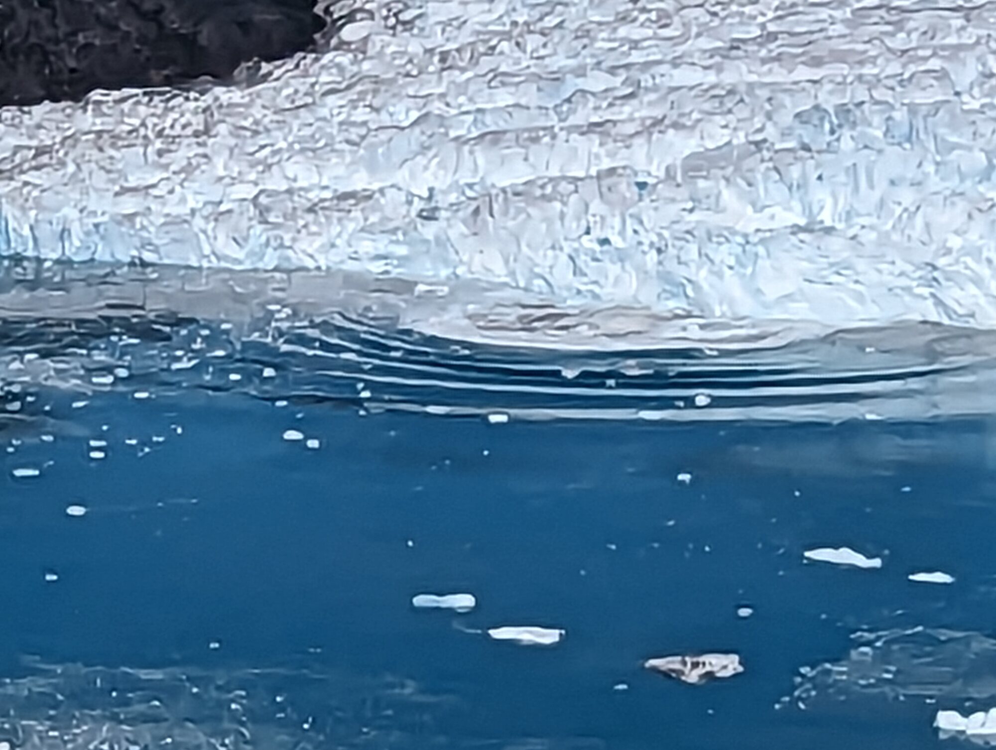 Waves and scattered ice moving away from a calving glacier front